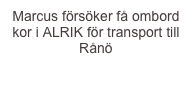 Marcus försöker få ombord kor i ALRIK för transport till Rånö